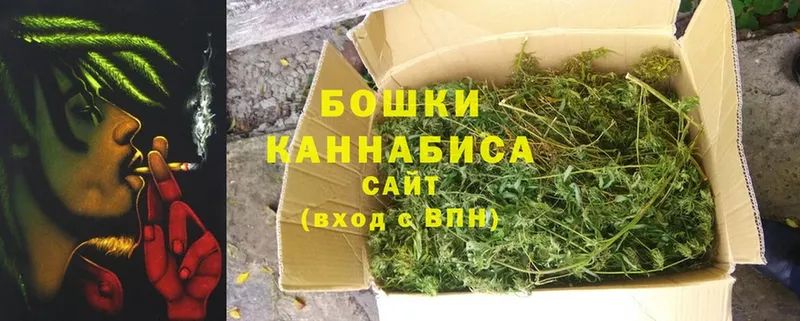 Марихуана OG Kush  Кувандык 